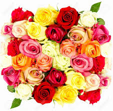 mixed-rose-bunch